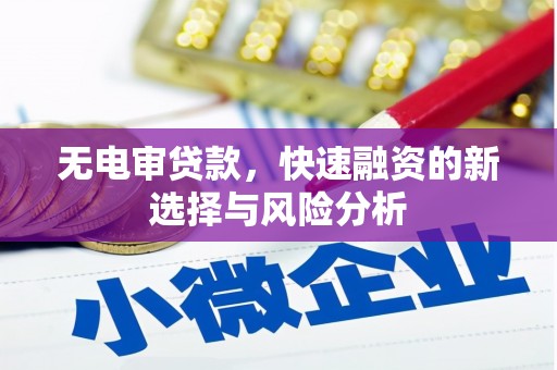 奉新无电审贷款，快速融资的新选择与风险分析