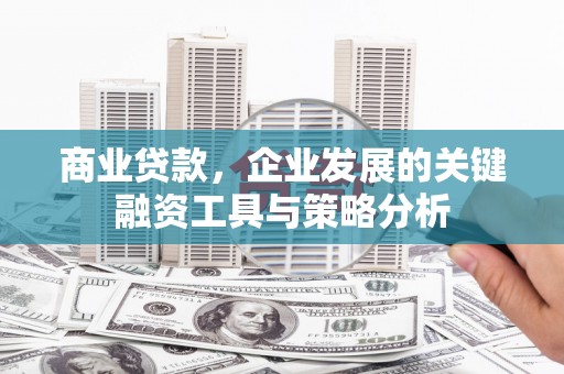 奉新商业贷款，企业发展的关键融资工具与策略分析