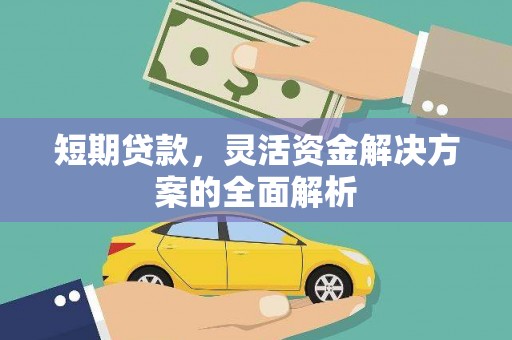 奉新短期贷款，灵活资金解决方案的全面解析