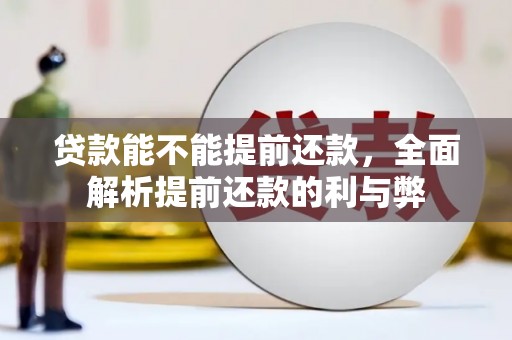 奉新贷款能不能提前还款，全面解析提前还款的利与弊