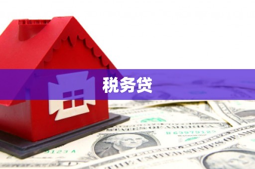奉新税务贷