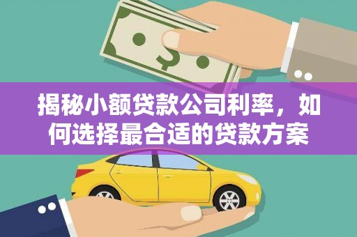 奉新揭秘小额贷款公司利率，如何选择最合适的贷款方案