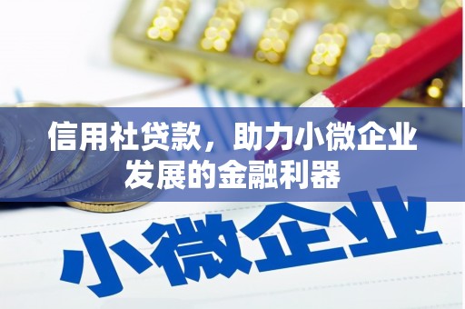 奉新信用社贷款，助力小微企业发展的金融利器