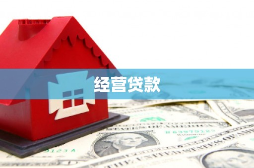 奉新经营贷款