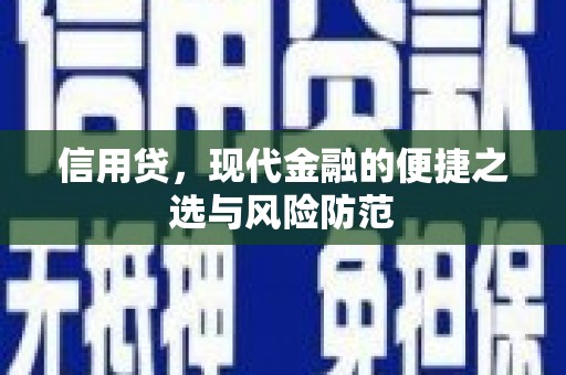 奉新信用贷，现代金融的便捷之选与风险防范