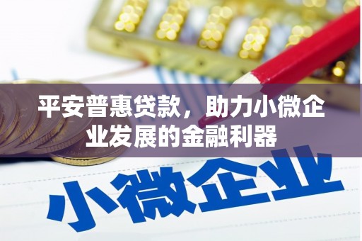 奉新平安普惠贷款，助力小微企业发展的金融利器