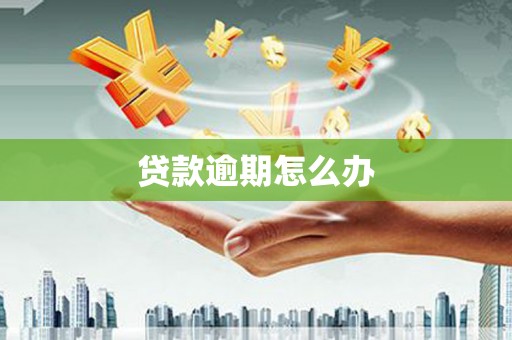 奉新贷款逾期怎么办