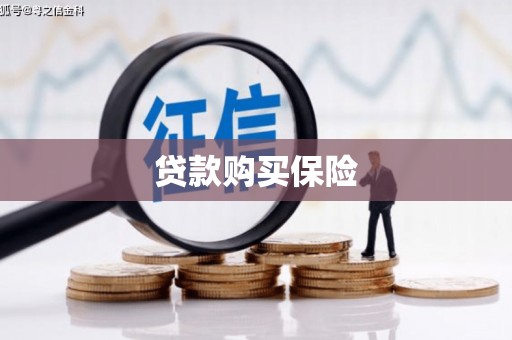 奉新贷款购买保险