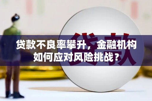 奉新贷款不良率攀升，金融机构如何应对风险挑战？