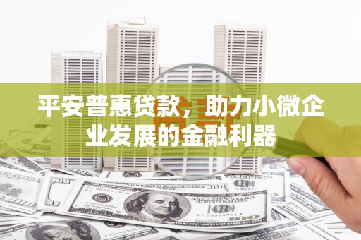 奉新平安普惠贷款，助力小微企业发展的金融利器