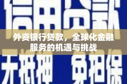 奉新外资银行贷款，全球化金融服务的机遇与挑战