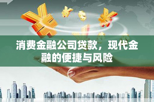奉新消费金融公司贷款，现代金融的便捷与风险