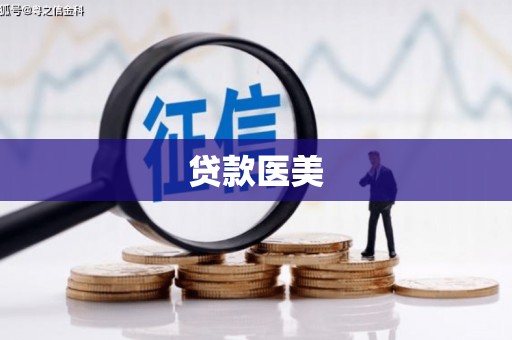 奉新贷款医美