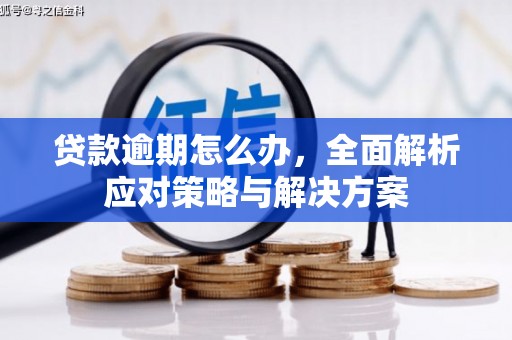奉新贷款逾期怎么办，全面解析应对策略与解决方案
